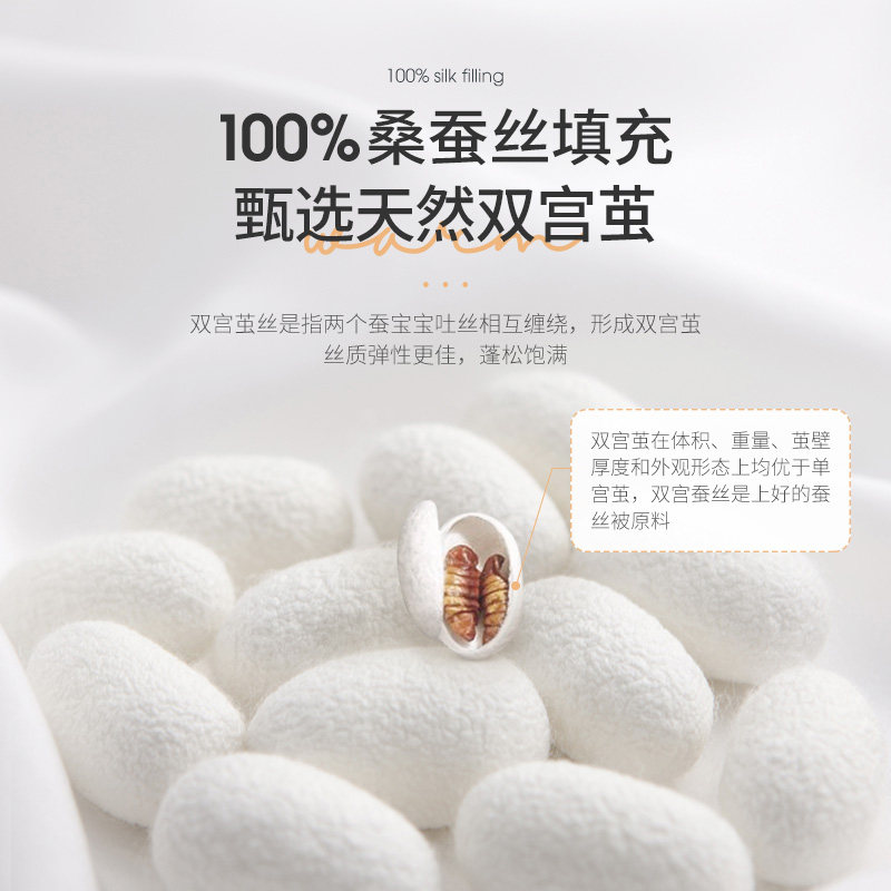 雅芳婷双宫蚕丝被抑菌防螨连芯扣 雅芳婷蚕丝被