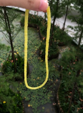 自然主义小众时髦百搭经典项链