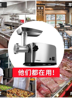 Tenfly添美家电动家用绞肉机小型