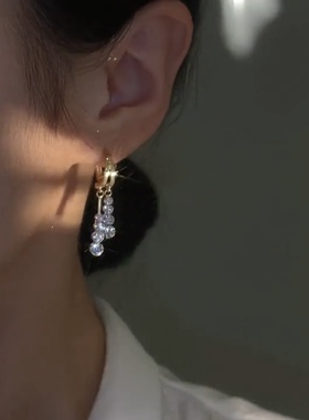轻奢夏季锆石流苏耳环女网红