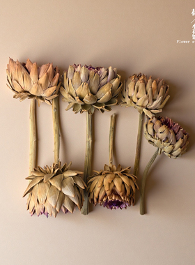 干花天然风干真花进口帝王花花束