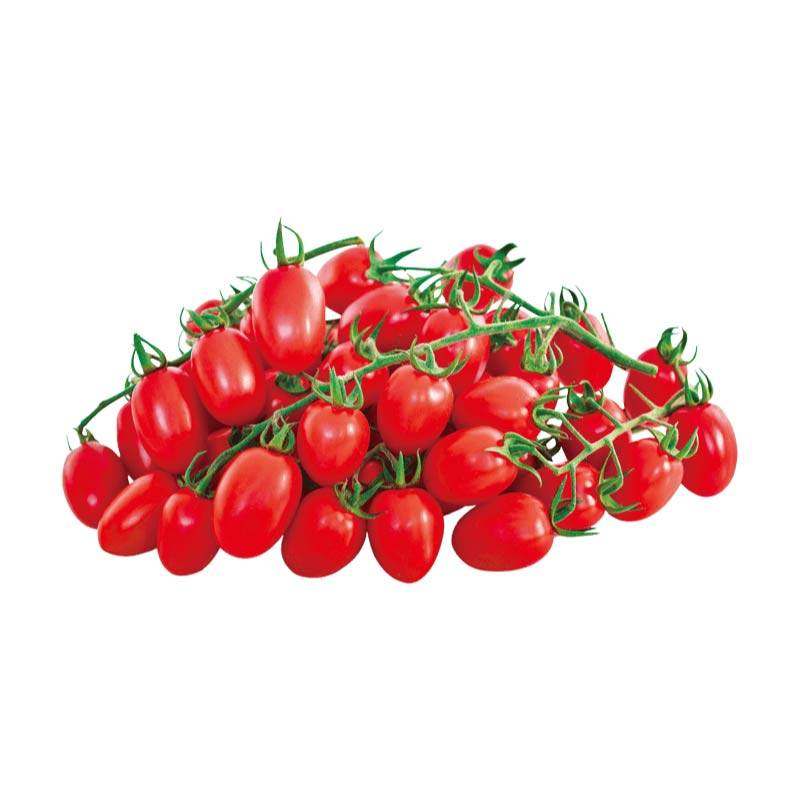 寿光梦想真甜5号番茄苗秧皮薄超甜千禧圣女果樱桃玲珑种子带土球,淘宝优惠券,粉丝福利购,淘宝优惠卷