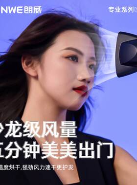 品牌朗威电吹风理发大功率2000w专业吹风机蓝光负离子冷热发廊Rh0