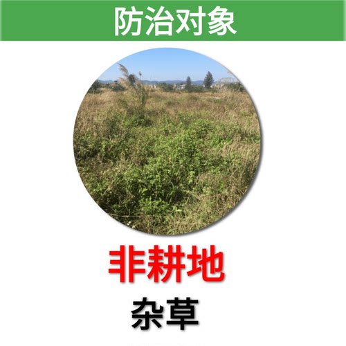 80% 2二甲草甘膦甘草磷草干磷草甘磷荒地除草杂草烂根除草剂正品 - 图0