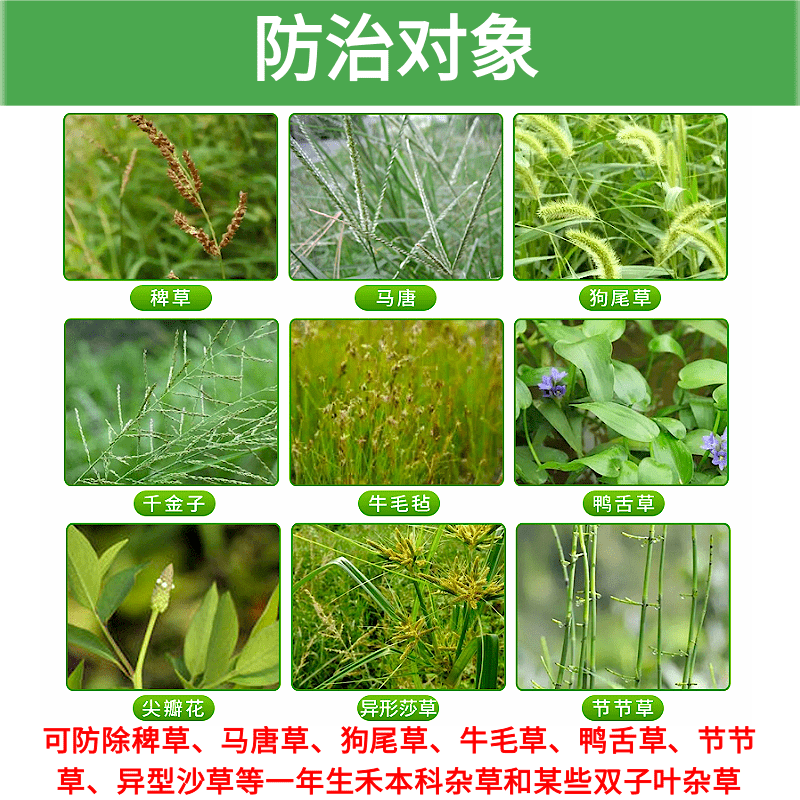 农药丁草胺安铵 水稻田封闭除草茴香菠菜辣椒蔬菜苗前除草剂农药 - 图1