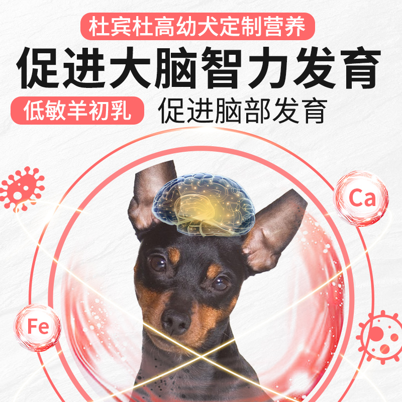 杜宾杜高犬幼犬专用奶糕狗粮6斤装美毛亮毛补钙40大型犬-图0