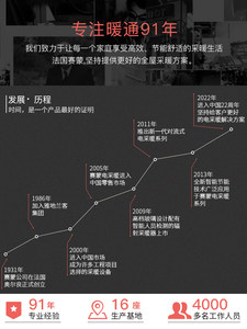 法国赛蒙全屋取暖器家用节能大面积电暖器进口落地壁挂卧室暖气片