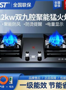 SAST/先科煤气灶双灶家用天然气台式液化气嵌入式燃气灶九腔猛火