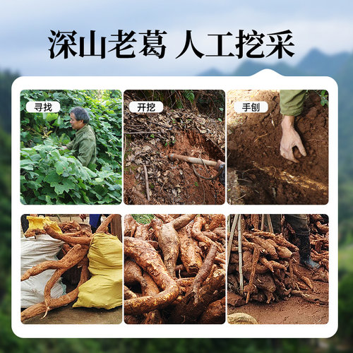 【组合装】璞匠纯葛根粉官方旗舰店正品深山老葛粉江西特产5罐 - 图0