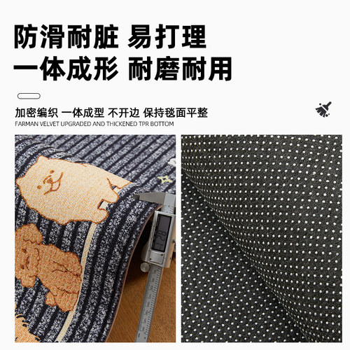 入户门地垫卡通高级感防滑耐脏玄关地毯门口进门家用脚垫子可裁剪 - 图3