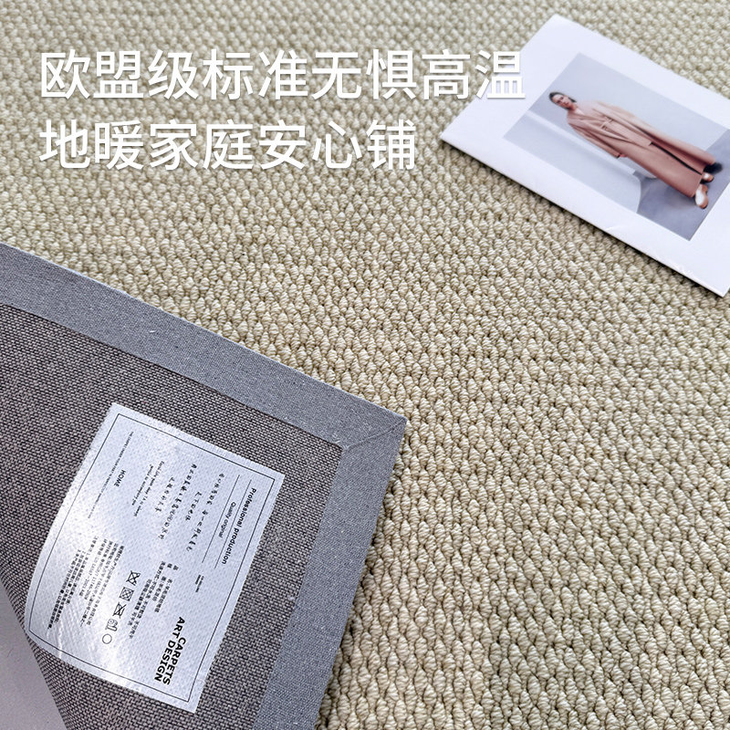 2026新款新西兰进口羊毛地毯客厅轻奢高级感家用素色沙发卧室地垫