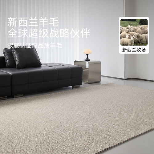 进口羊毛地毯客厅2026新款意式极简罗马灰棕免洗可擦轻奢卧室地垫 - 图0