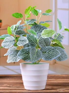 Plants potted fake plants small plants green plants indoor