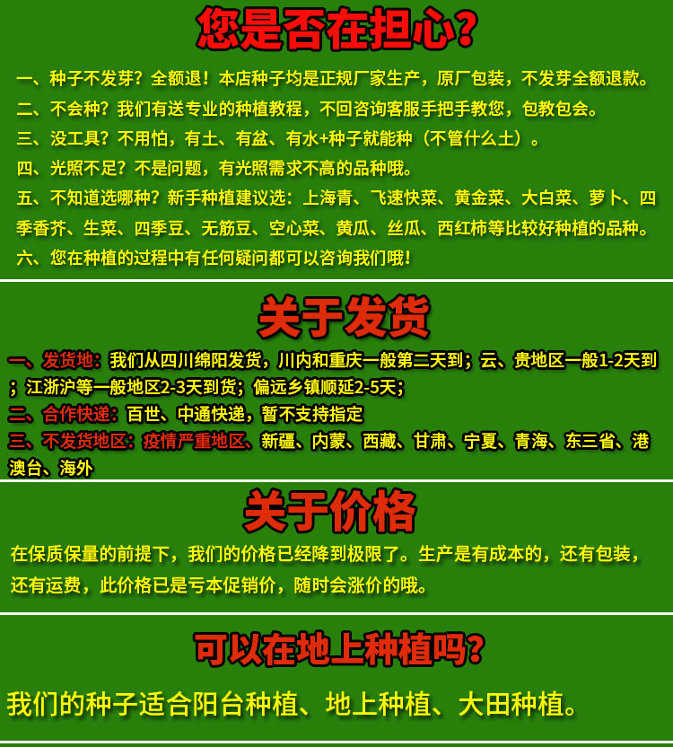 春锋宝塔甘蓝莲花白种子籽仔苗牛心菜牛心白卷心洋白高丽包菜椰菜-图0