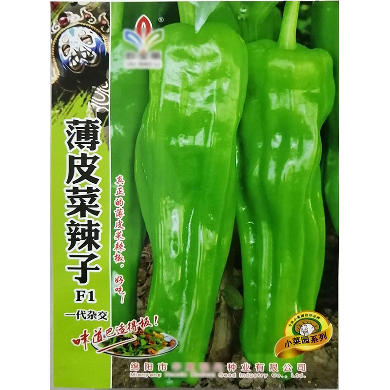 薄皮菜辣子150粒牛角椒辣椒蔬菜种子孑籽大肉海菜薄皮青辣椒辣子1 - 图3