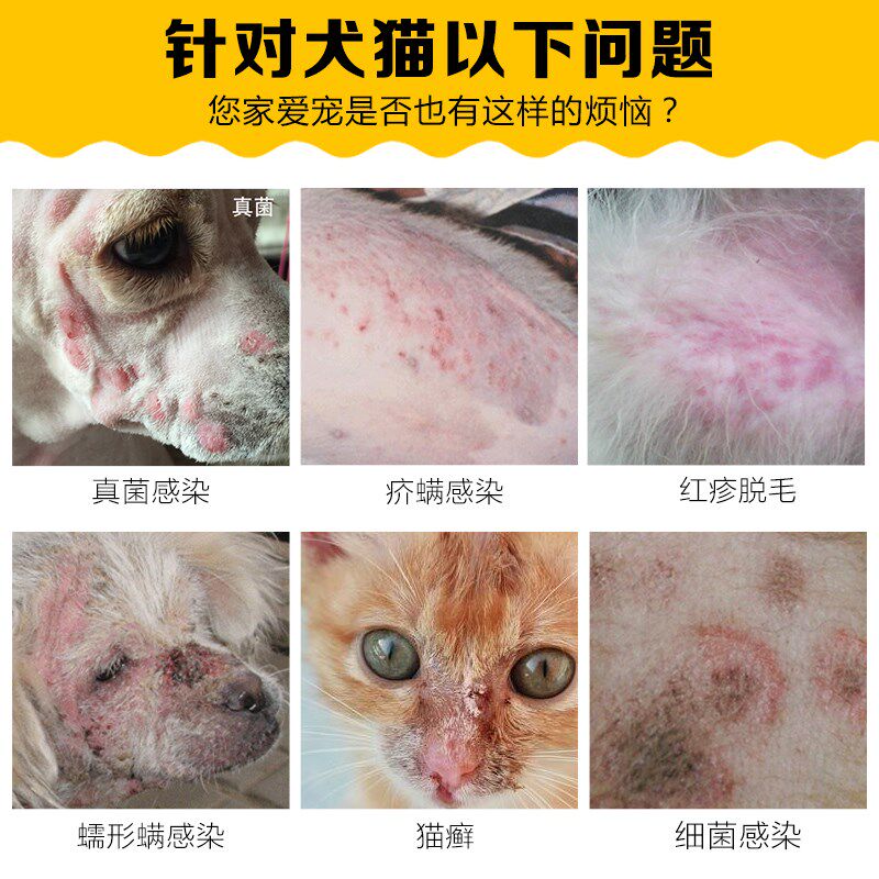 狗狗皮肤病药浴液药用治疗宠物杀真菌感染癣去屑脓包比熊螨虫疥螨