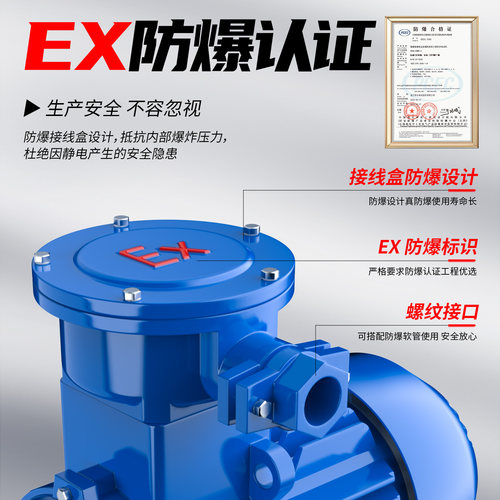 隔爆型三相异步电动机11/15/22/30/37/45/55/75/90kw粉尘防爆电机 - 图0