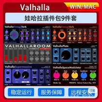 Genuine Activation of Valhalla DSP Full Classic Mixer Reverb Delay Delay 