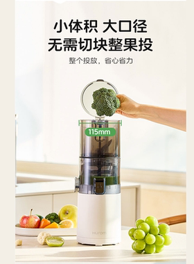 惠人原汁机榨汁机家用全自动