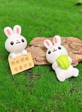 开心小兔 微景观盆景多肉园艺工位桌面车载解压治愈装饰品小摆件