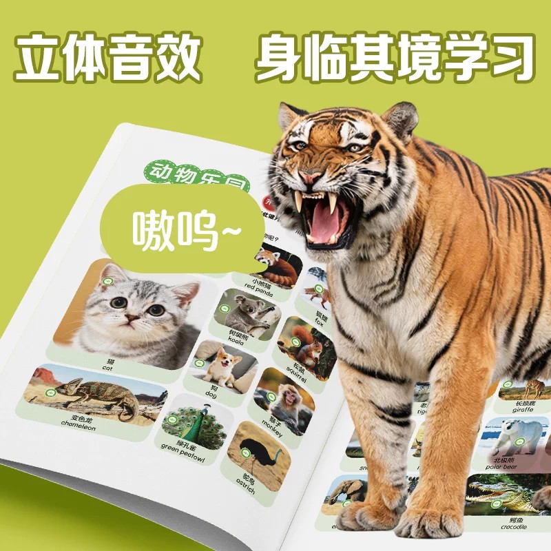 图 5
