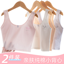 8-12-year-old girl lingerie pure cotton children lingerie hair nursery school pupils 6-12 girls small vest a category