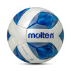 Motten leather wear-resistant universal football