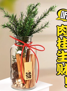 肉桂生财摆件发招米桂皮聚米瓶子diy客财厅位工位办公室乔迁搬家