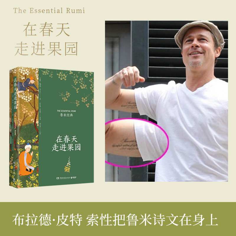 在春天走进果园 精装典藏版 鲁米 外国诗歌集 关于心灵生命和爱情现代都市人生活心灵解方 外国诗歌散文集文学正版