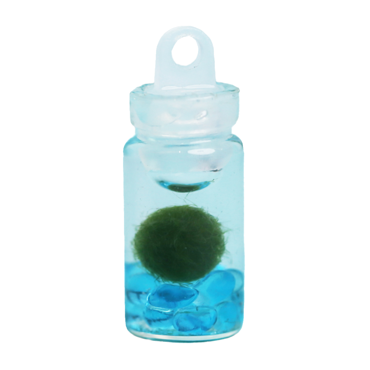 marimo海藻球生态瓶小挂件饰品礼物学生迷你绿植水生球藻绿藻生物 - 图3