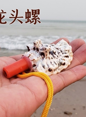 海螺号角可吹天然超大海螺贝壳哨子儿童玩具响亮螺号可吹喇叭口哨