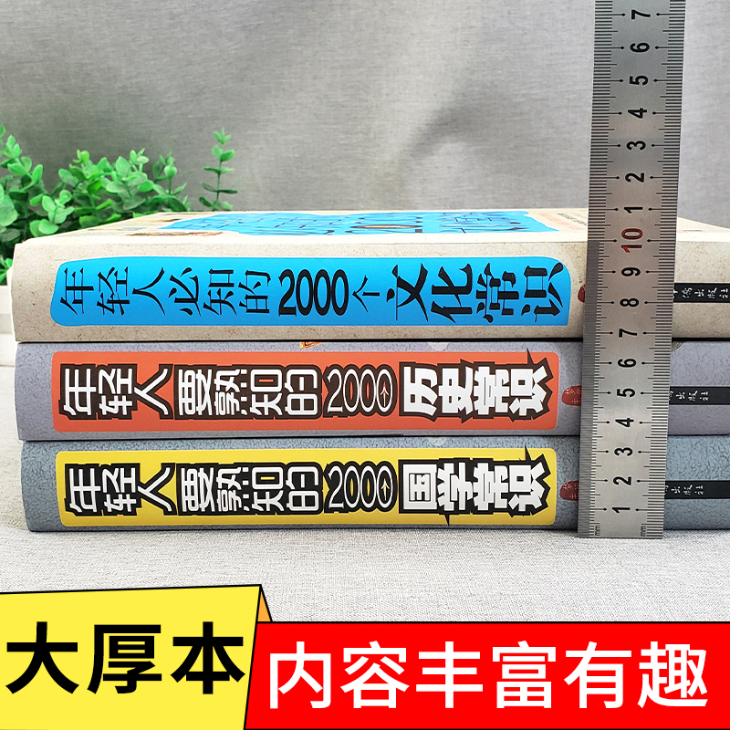 【全3册】年轻人要熟知的2000个国学常识文化常识历史常识结合丰富的知识类别讲述各类文化必知精华文化知识结构各国地区科普书籍 - 图2