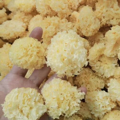 安徽金寨椴木小银耳小朵新鲜无硫磺雪白糯木耳干货易煮胶多250克 - 图3