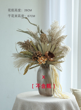 风天然芦苇干花花束摆件真花豪华装饰家居民宿装饰客厅软装绿