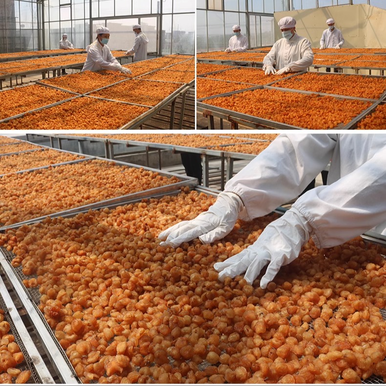 生晒10A野山老树高州桂圆肉干无核特大即食龙眼肉干500g送125g罐,淘宝优惠券,粉丝福利购,淘宝优惠卷