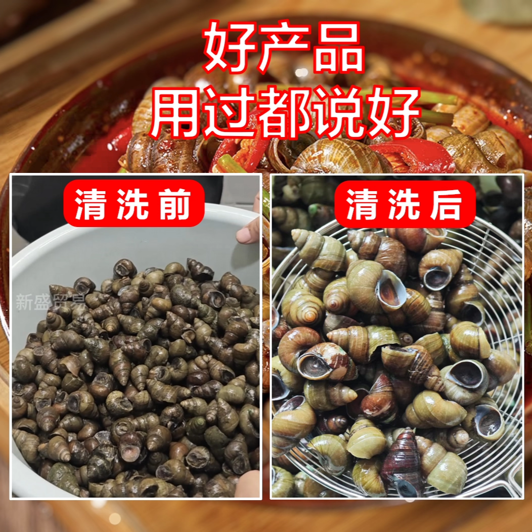 小型田螺清洗机商用家用神器全自动360度无死角全壁刷洗河螺蛳,淘宝优惠券,粉丝福利购,淘宝优惠卷