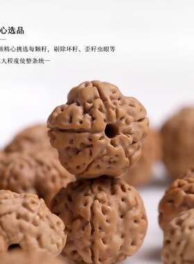 民族风金刚菩提文玩单圈手串隔片二代蜜蜡男女款手链盘玩送礼礼物