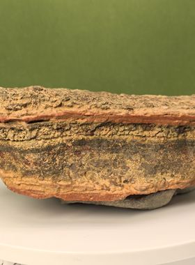 戈壁奇石摆件原石底座平台金丝玉沙漠漆老皮泥石戈壁奇石原石