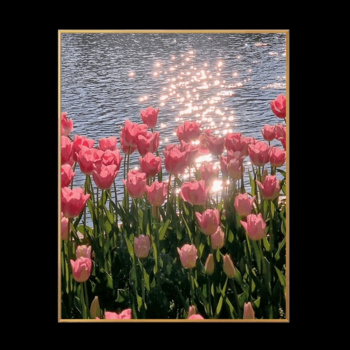 Tulip Fragrant Diamond Drills Living Room маленькая паста бриллиант заканчивается 2023 Новая спальня простая и современная северная