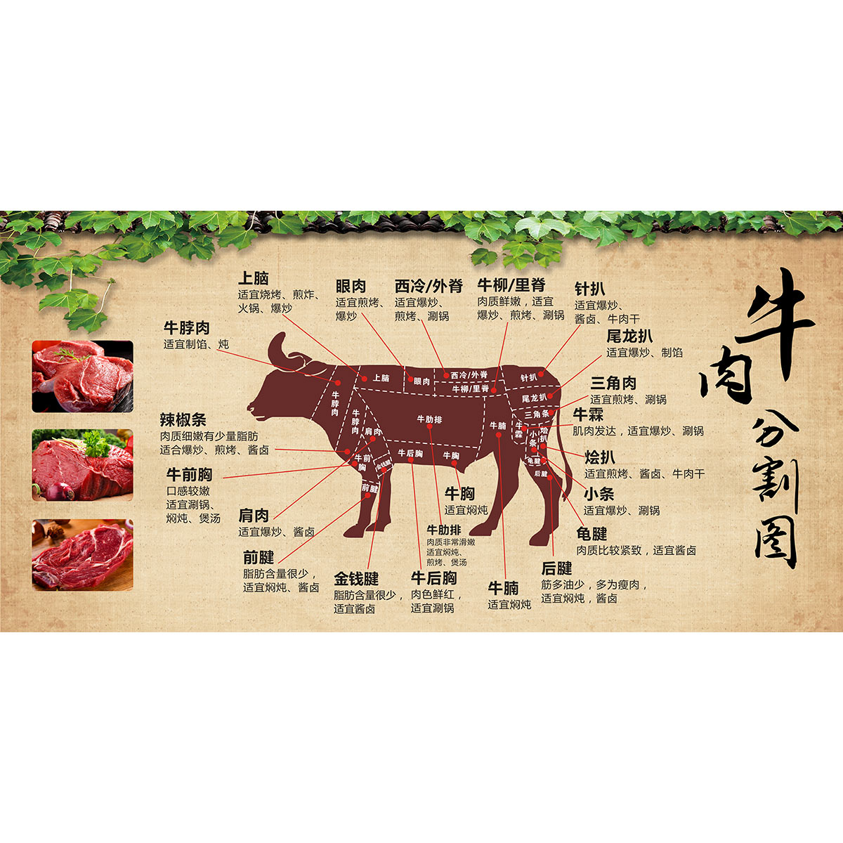 牛肉分割图海报贴纸墙贴鲜牛肉分解图壁画排酸牛肉分解图海报贴纸