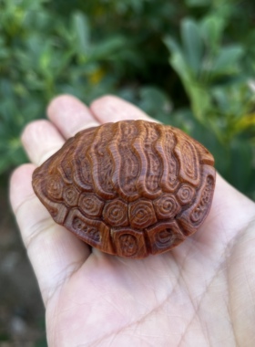 太行崖柏木雕刻富甲天下龟甲龟壳文玩手把件随身盘玩招财桌面摆件
