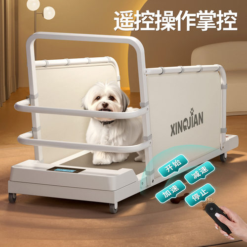 狗狗跑步机犬用猫咪跑步机比熊泰迪柯基宠物跑步机中小型犬走步机 - 图1