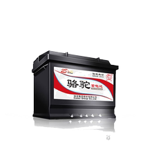 Camel car battery 6-QW-45 adapted Yacabinet Honda CRV vanguard Van Jade Wisdom 12V45AH Storage Battery