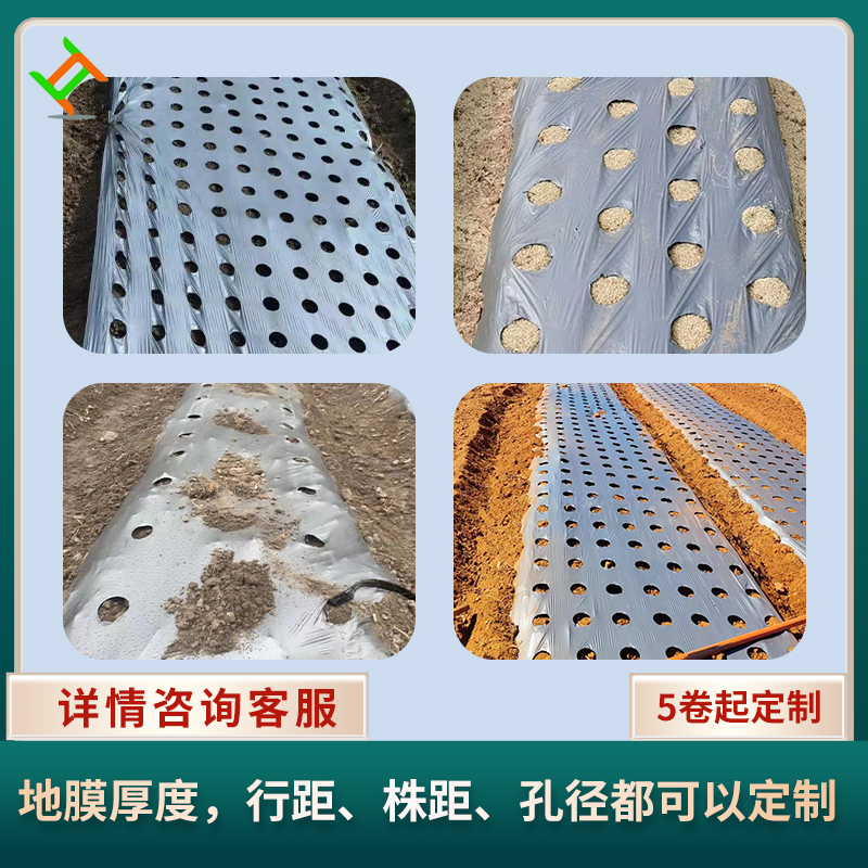 免打孔地膜农用打孔有孔除草黑地膜银黑双色反光种菜专用带孔地膜,淘宝优惠券,粉丝福利购,淘宝优惠卷