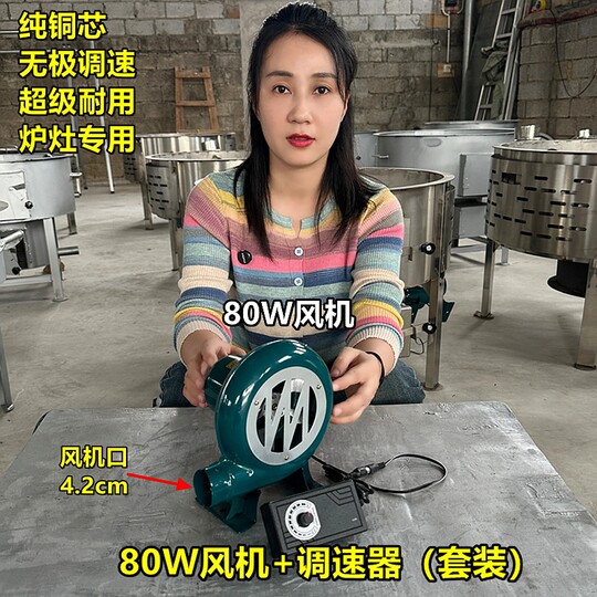Wood stove blower household 220V combustion-supporting hair dryer