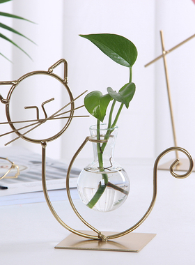 ins绿植水培透明玻璃书房摆件