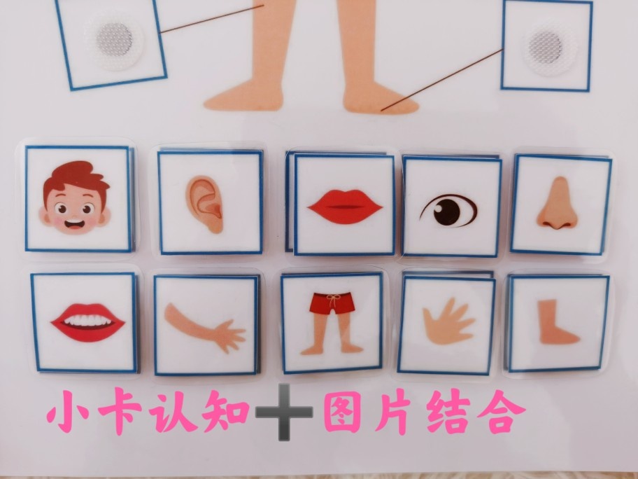 新品推荐早教幼教身体部位认知益智卡反复撕拉桌面游戏教玩具 童心学习工作室 淘优券