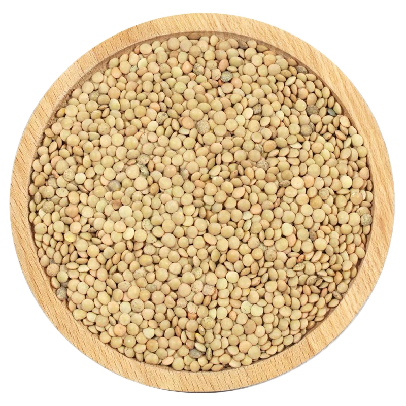 绿扁豆 马粟豆  masoor Green Lentils 500g - 图0