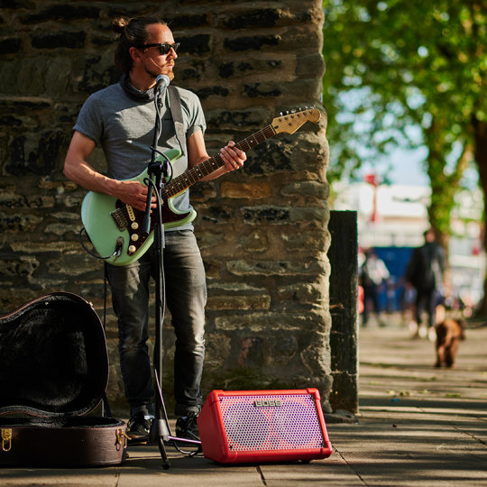 Roland Professional Guitar Speaker