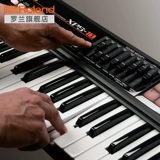 Roland Roland XPS-10 Synthery Начало работы по домохозяйству модель 61 MIDI MIDI Professional Professional Arening Arening Электронная клавиатура
